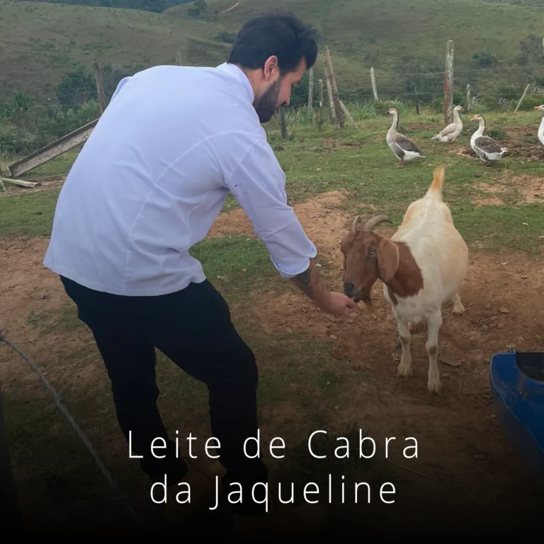 leite