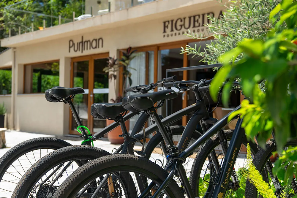 Figueira-da-Serra-Geral-083